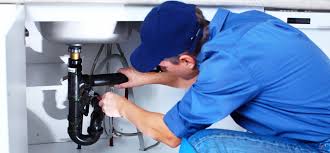 Best Plumbing System Maintenance  in Mayville, MI